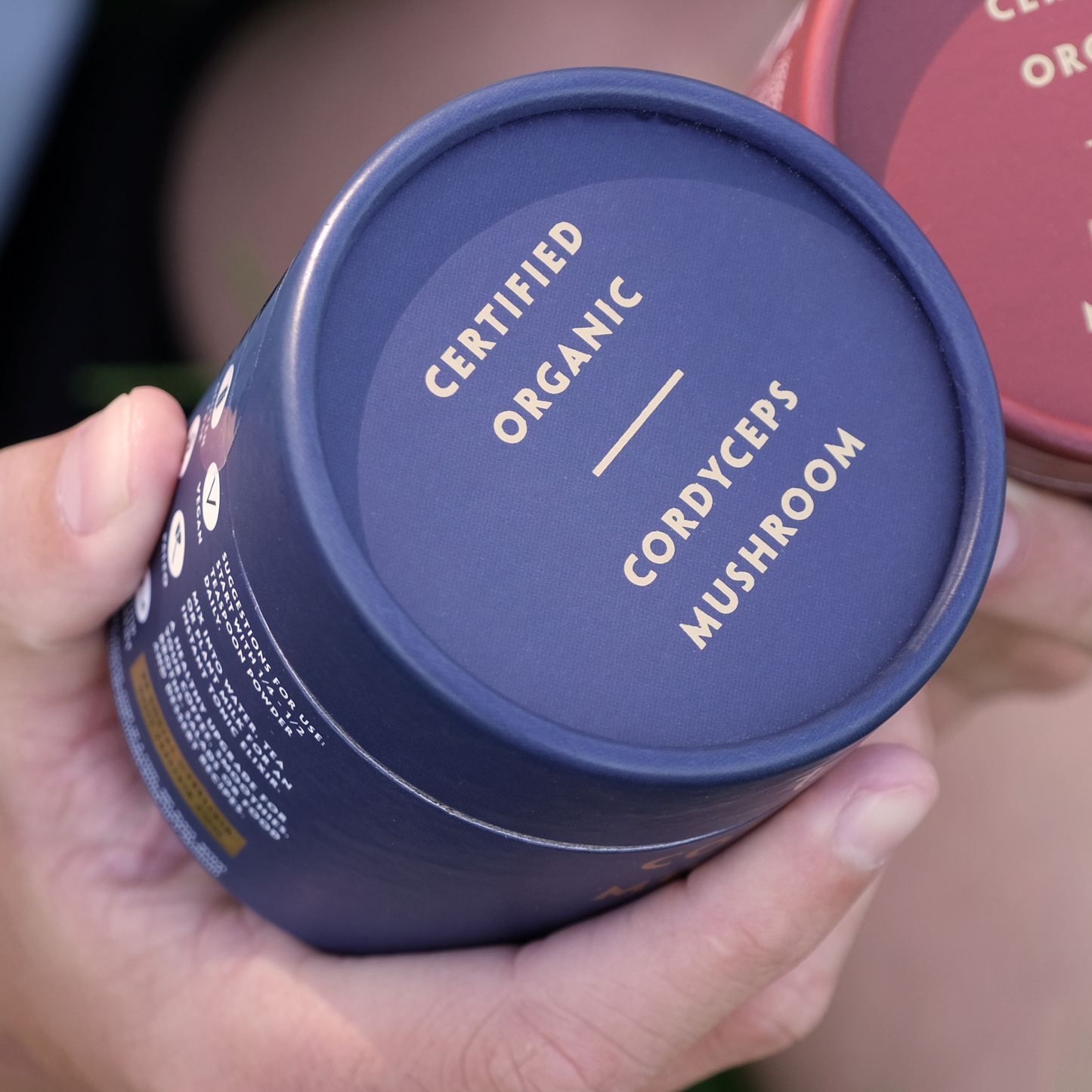 Teelixir Organic Cordyceps Mushroom 1Kg