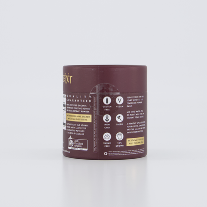 Teelixir Organic Reishi Mushroom 250g